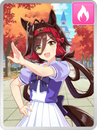 ノーリーズン
