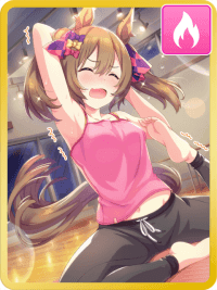 スマートファルコン