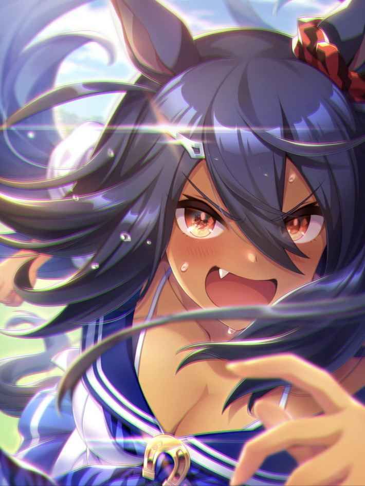 ヒシアマゾン