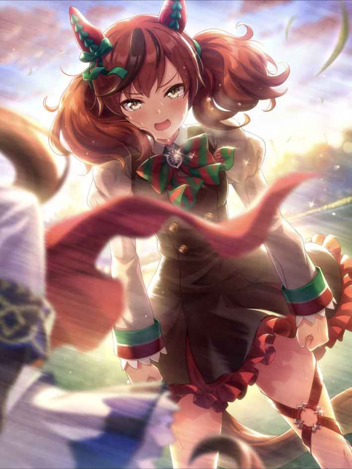 ナイスネイチャ