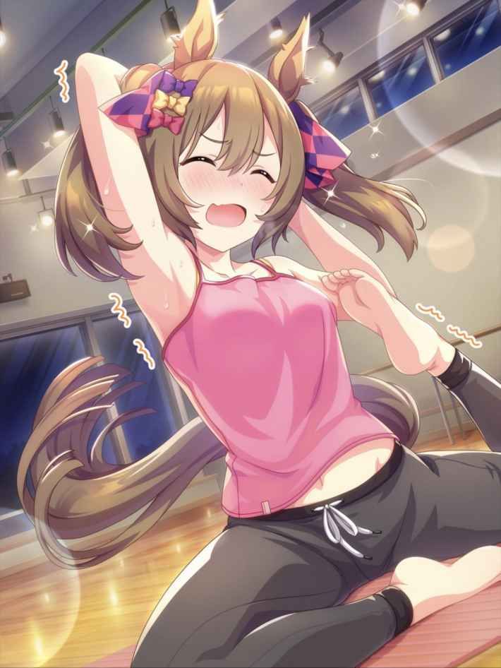 スマートファルコン