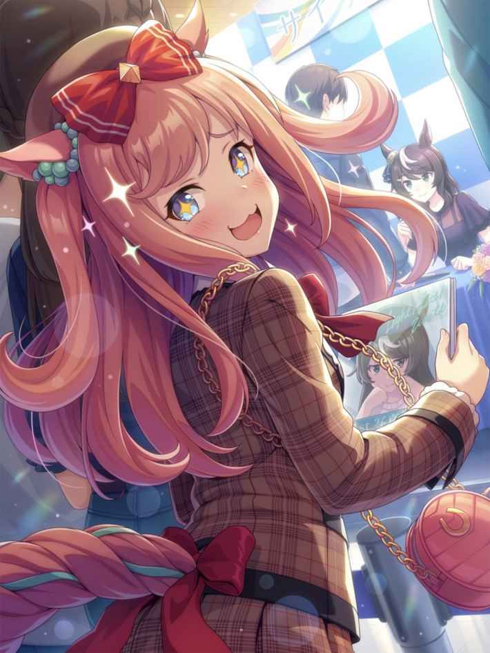 アグネスデジタル