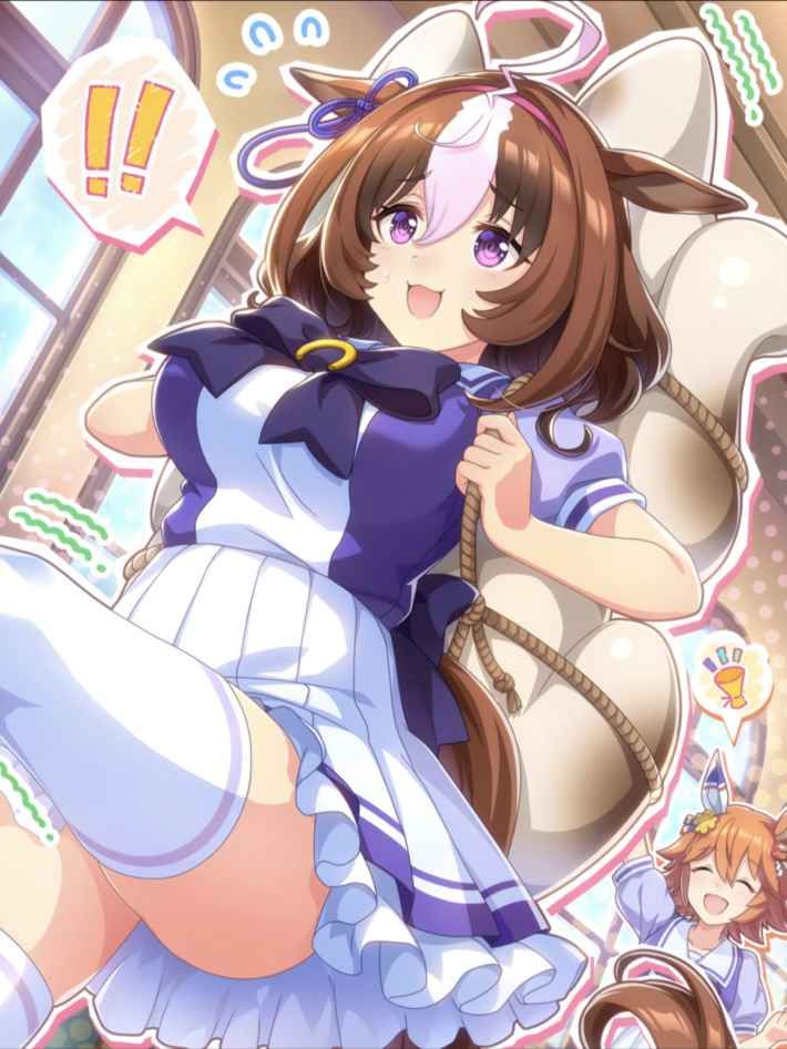 メイショウドトウ