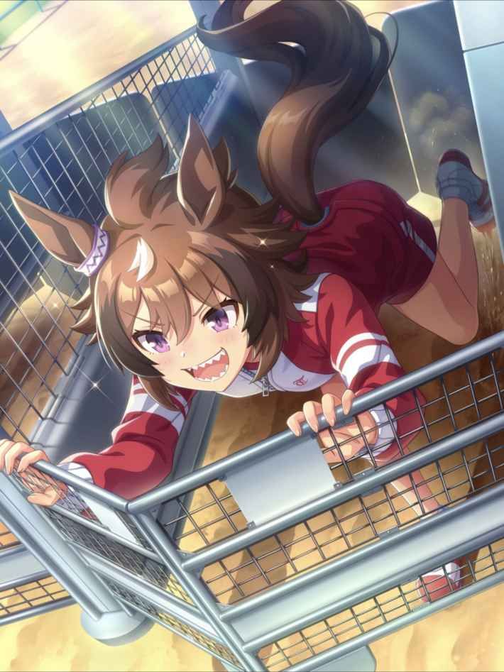 シンコウウインディ