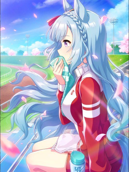 メジロアルダン
