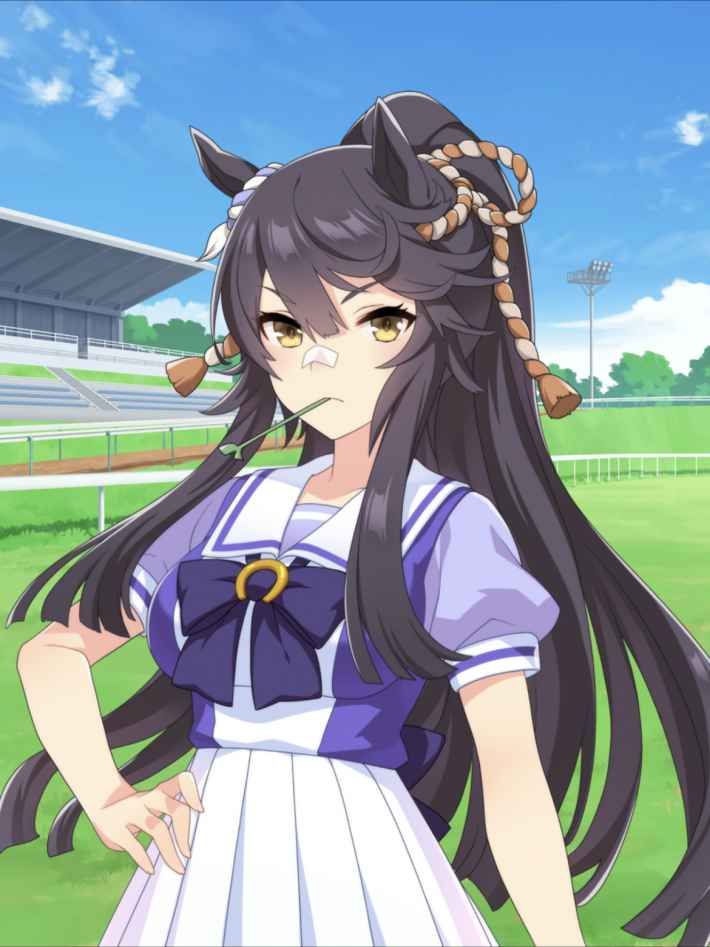 ナリタブライアン